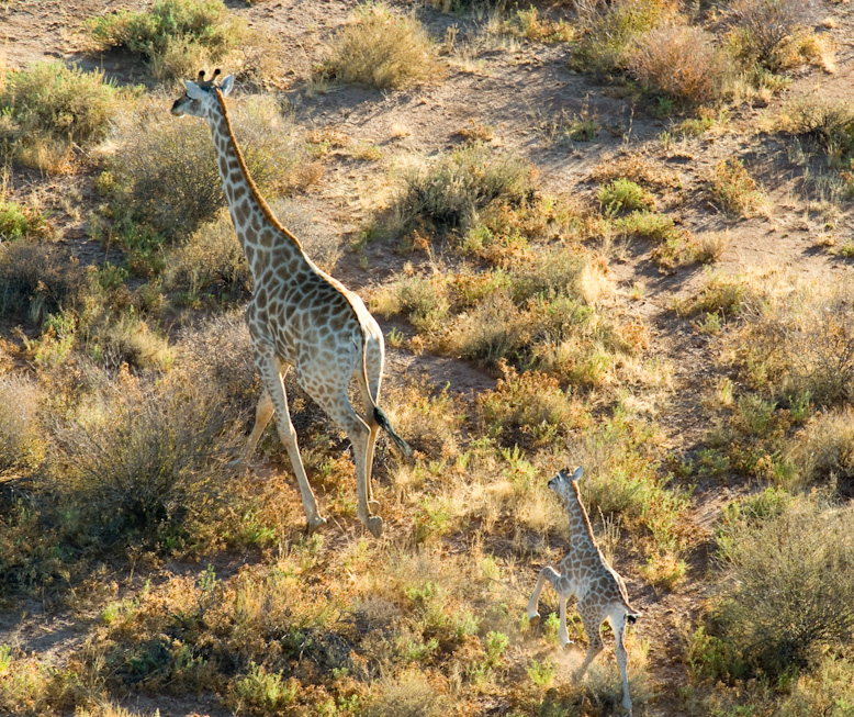 DSC_7362