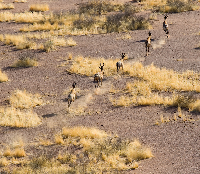 DSC_7692